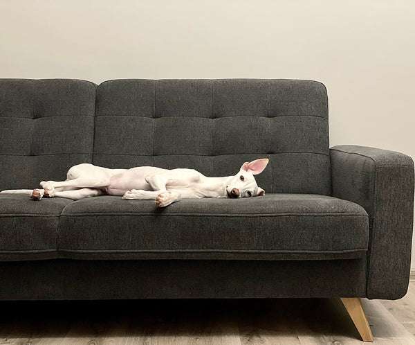 Nie wiesz co wybrać?