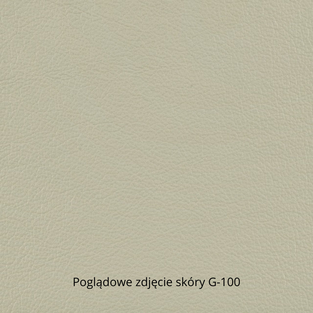 Pufa skórzana TM z skrzynką pod siedziskiem