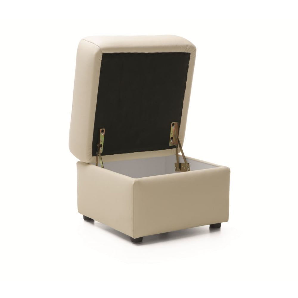 Pufa skórzana TM z skrzynką pod siedziskiem